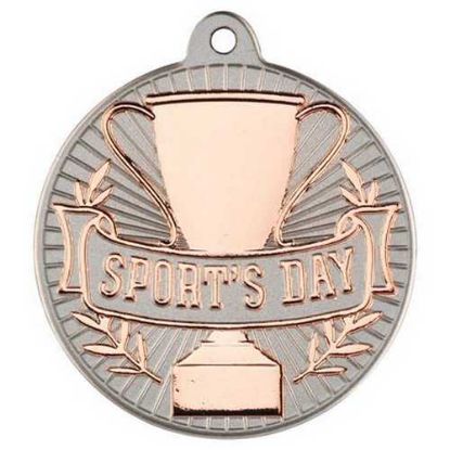 Picture of Sports Day Two Colour Medal Matt Silver~bronze