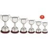 Picture of Nickel Plated Cup On Round Plinth With Band - 9.5in