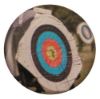 Picture of Acrylic Photo Action Centre Archery - 1in