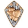 Picture of Boxing Diamond Disc In Pewter|gold - 4 X 3in