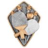 Picture of Table Tennis Diamond Disc In Pewter|gold - 4 X 3in