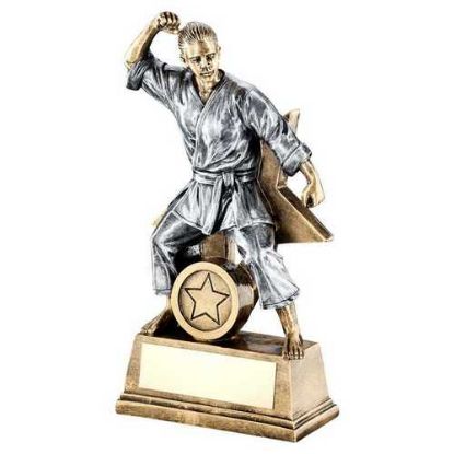 Picture of Xxx Brz|gold|pew Female Martial Arts Figure With Star Backing (1in Centre) - 7in