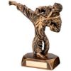 Picture of Brz|gold Male Karate Figure - 6.5in