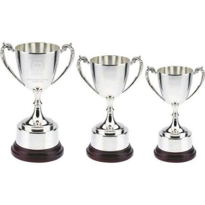 Picture of Silver Bright Plated Traditional Cup