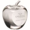 Picture of Clear Glass Apple Paperweight With Presentation Case - 3.5in