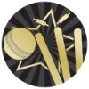 Picture of Cricket Gold|black Printed Centre 50mm - 2in