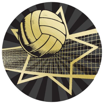 Picture of Volleyball Gold~black Printed Centre 50mm