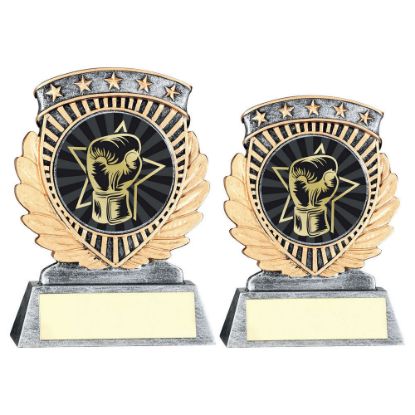 Picture of Pew~gold 5 Star Holder With Vinyl Boxing Insert & Plate