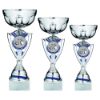 Picture of Silver|blue Trophy Cup With Boxing Insert And Plate - 13in