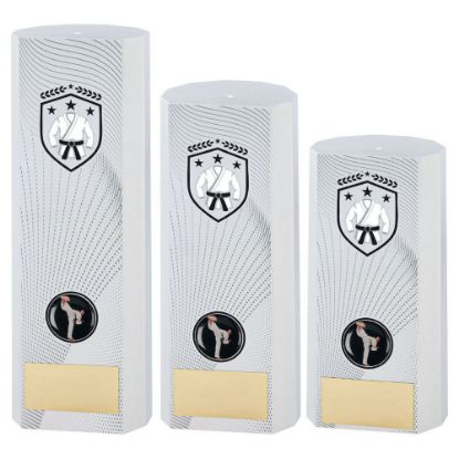 Picture of White Plastic Filled Column Martial Arts (1in Cen)