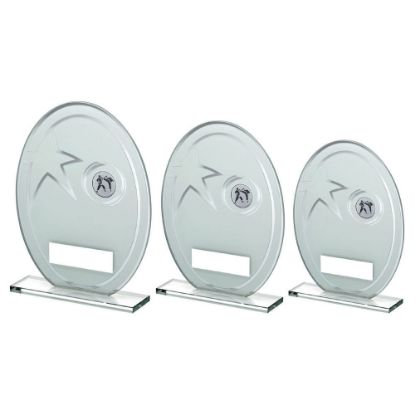 Picture of White~silver Printed Glass Oval With Karate Insert And Plate