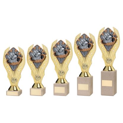 Picture of Gold Plastic Holder+martial Arts Disc On Cream Marble Trophy (1in Cen)