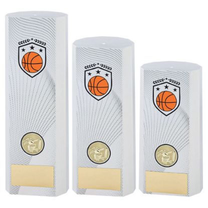 Picture of White Plastic Filled Column Basketball (1in Cen)