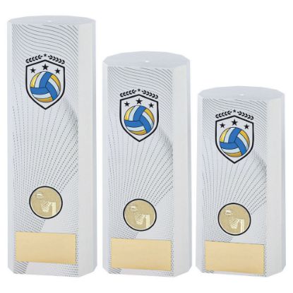 Picture of White Plastic Filled Column Netball (1in Cen)