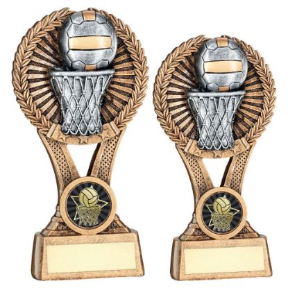 Picture of Brz~gold~pew Netball Round Wreath On V Riser With Plate (1in Cen)