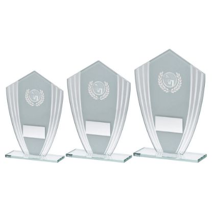 Picture of White|silver Glass Shield Plaque With Netball Insert & Plate - 6.5in