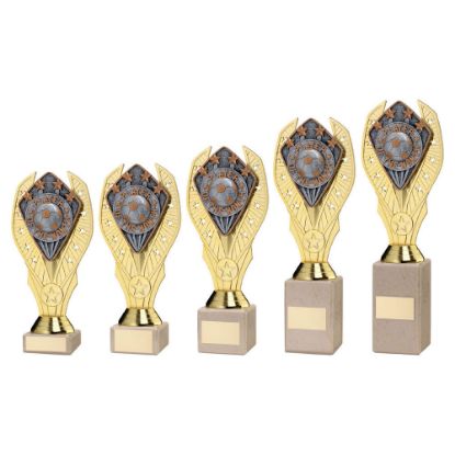 Picture of Gold Holder + Player Of The Month Disc & Cream Marble Trophy (1in Cen) - 10in