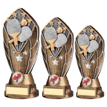 Picture of Bz~silv Diamond Column + Table Tennis Disc & Plate (1in Cen)