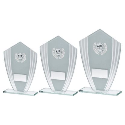 Picture of White~silver Glass Shield Plaque With Volleyball Insert & Plate