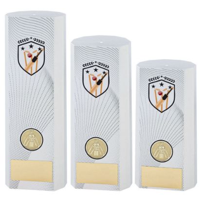 Picture of White Plastic Filled Column Cricket (1in Cen)