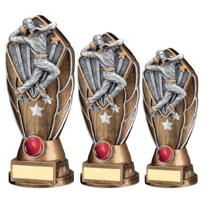 Picture of Bz~silv Diamond Column + Cricket Bowler Disc & Plate (1in Cen)