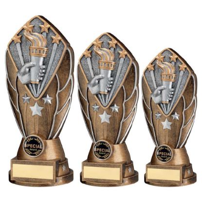 Picture of Bz~silv Diamond Column + Victory Torch Disc & Plate (1in Cen)