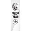 Picture of Football Player Of The Year Clear Printed Rectangle - 7 X 2.25in (Fits Fp25b)