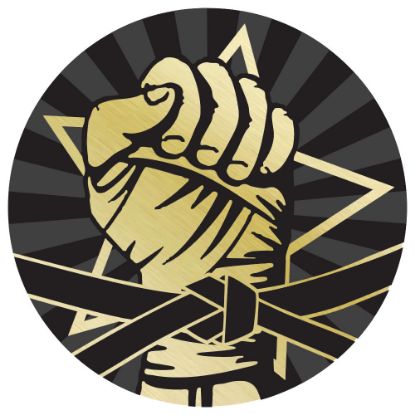 Picture of Martial Arts Gold~black Printed Centre 25mm