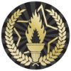 Picture of Victory Torch Gold|black Printed Centre 25mm - 1in