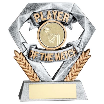 Picture of Pew~gold Player Of The Match Mini Diamond With Netball Insert & Plate