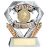 Picture of Pew|gold Player Of The Match Mini Diamond With Rugby Insert & Plate - 4in