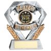 Picture of Pew|gold Player Of The Match Mini Diamond With Plate (1in Cen) - 4in