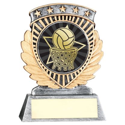 Picture of Pew~gold 5 Star Holder With Vinyl Netball Insert & Plate
