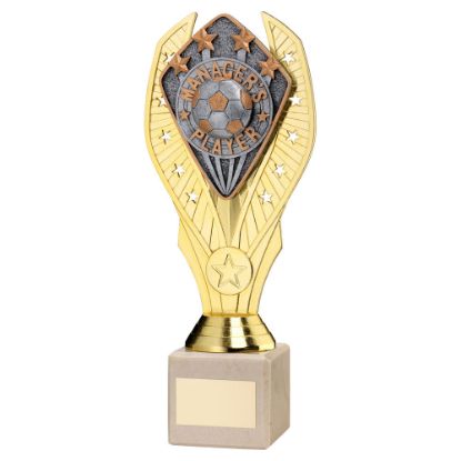 Picture of Gold Holder + Manager's Player Disc & Cream Marble Trophy (1in Cen)