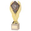 Picture of Gold Holder + Player Of The Month Disc & Cream Marble Trophy (1in Cen) - 10in
