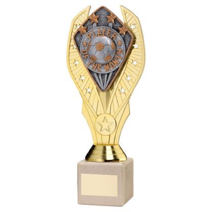 Picture of Gold Holder + Player Of The Month Disc & Cream Marble Trophy (1in Cen)