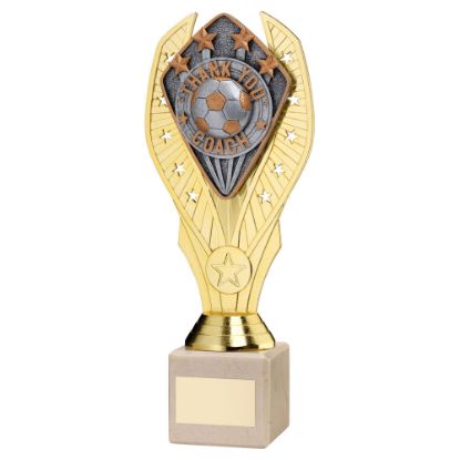 Picture of Gold Holder + Thank You Coach Disc & Cream Marble Trophy (1in Cen)