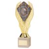 Picture of Gold Holder + Top Goal Scorer Disc & Cream Marble Trophy (1in Cen) - 11in