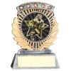 Picture of Pew|gold 5 Star Holder With Vinyl Male Rugby Insert & Plate - 4.5in