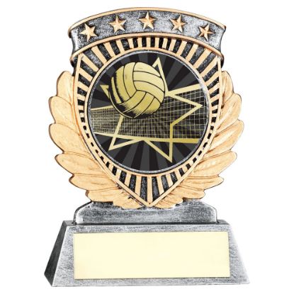 Picture of Pew~gold 5 Star Holder With Vinyl Volleyball Insert & Plate