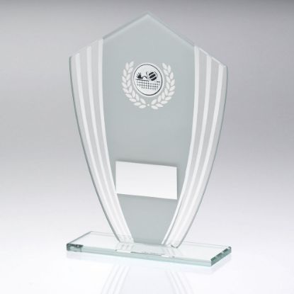 Picture of White~silver Glass Shield Plaque With Volleyball Insert & Plate