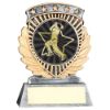 Picture of Pew|gold 5 Star Holder With Vinyl Cricket Bowler Insert & Plate - 3.75in
