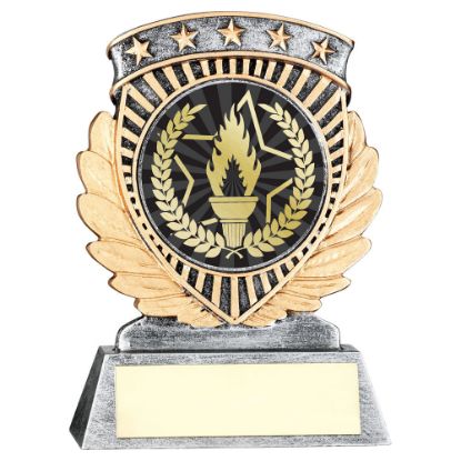 Picture of Pew~gold 5 Star Holder With Vinyl Victory Torch Insert & Plate